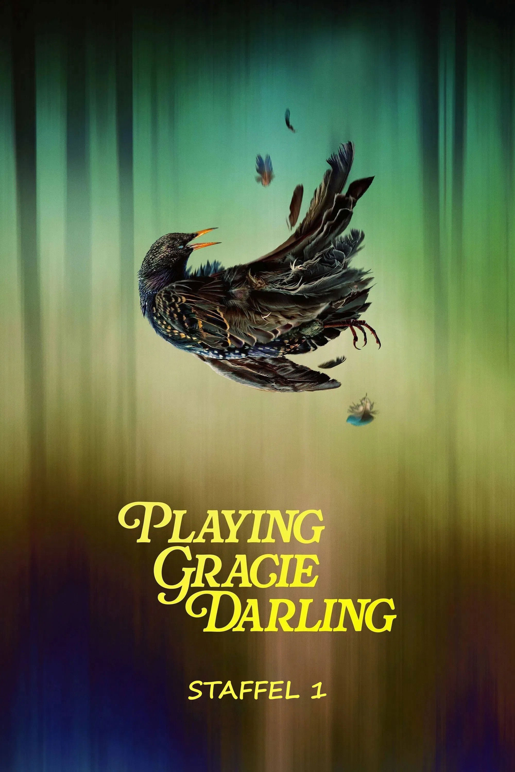 Xem phim Bí Ẩn Trò Chơi Gracie Darling - RoPhim