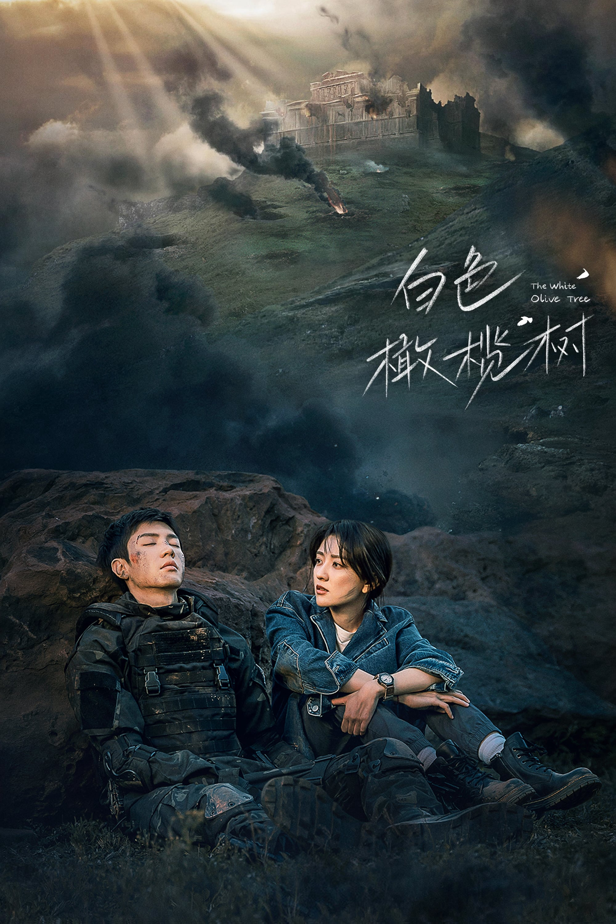 Xem phim Cây Ô Liu Màu Trắng - RoPhim