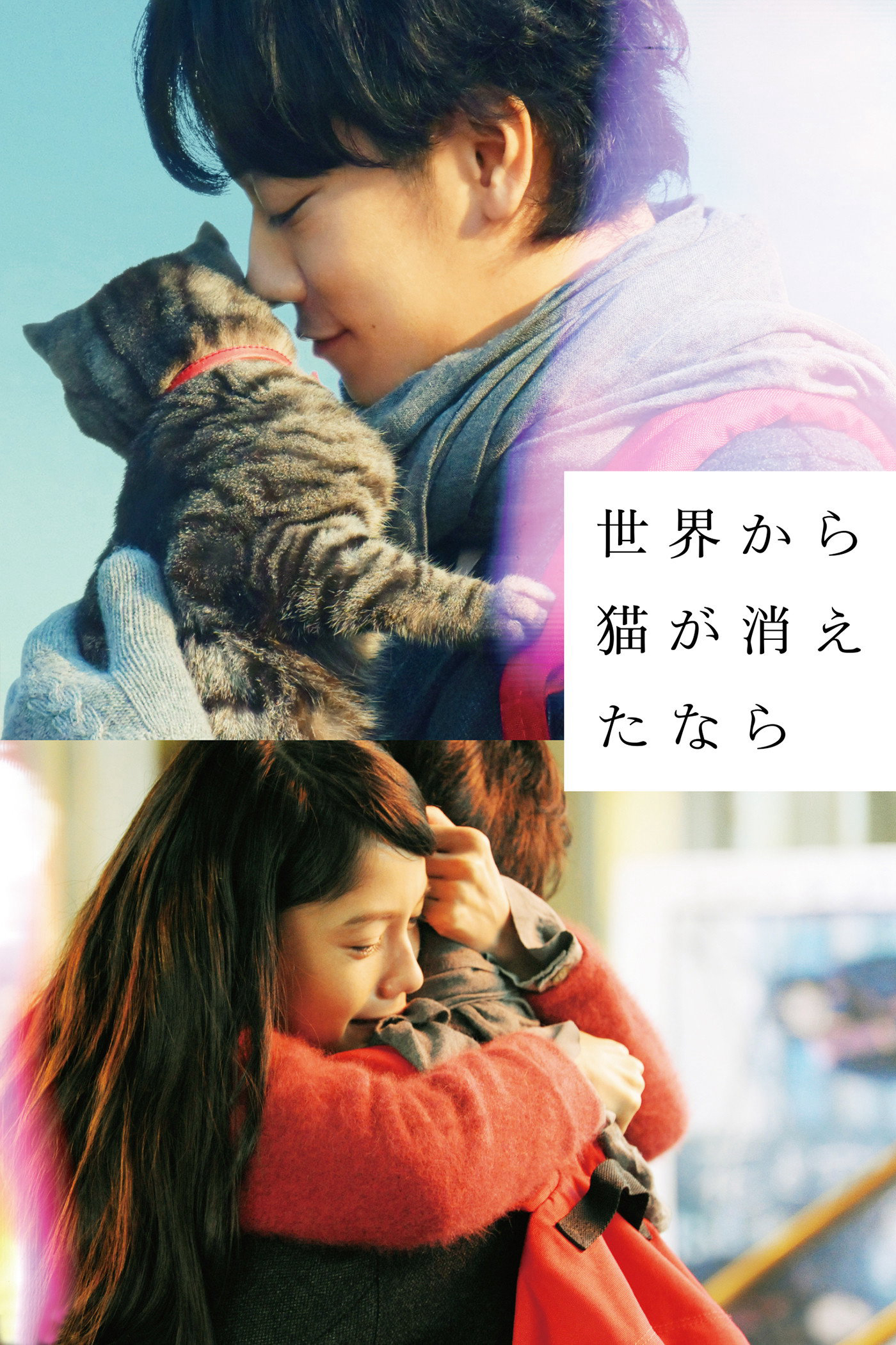 Xem Phim If Cats Disappeared from the World Full