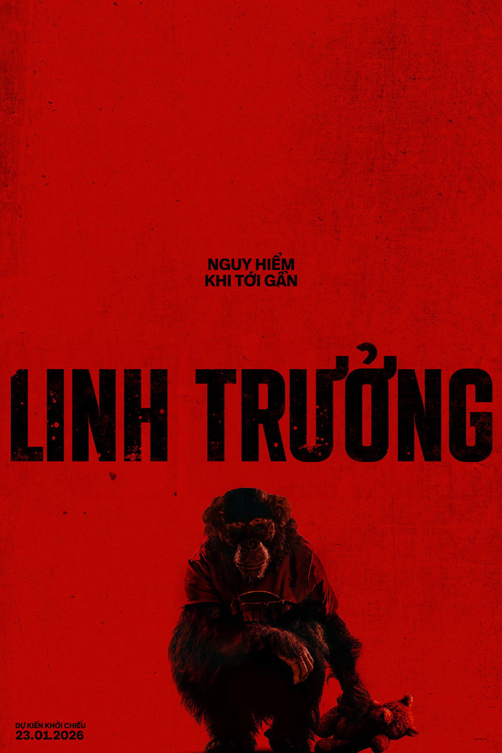 Xem Phim Linh Trưởng Full