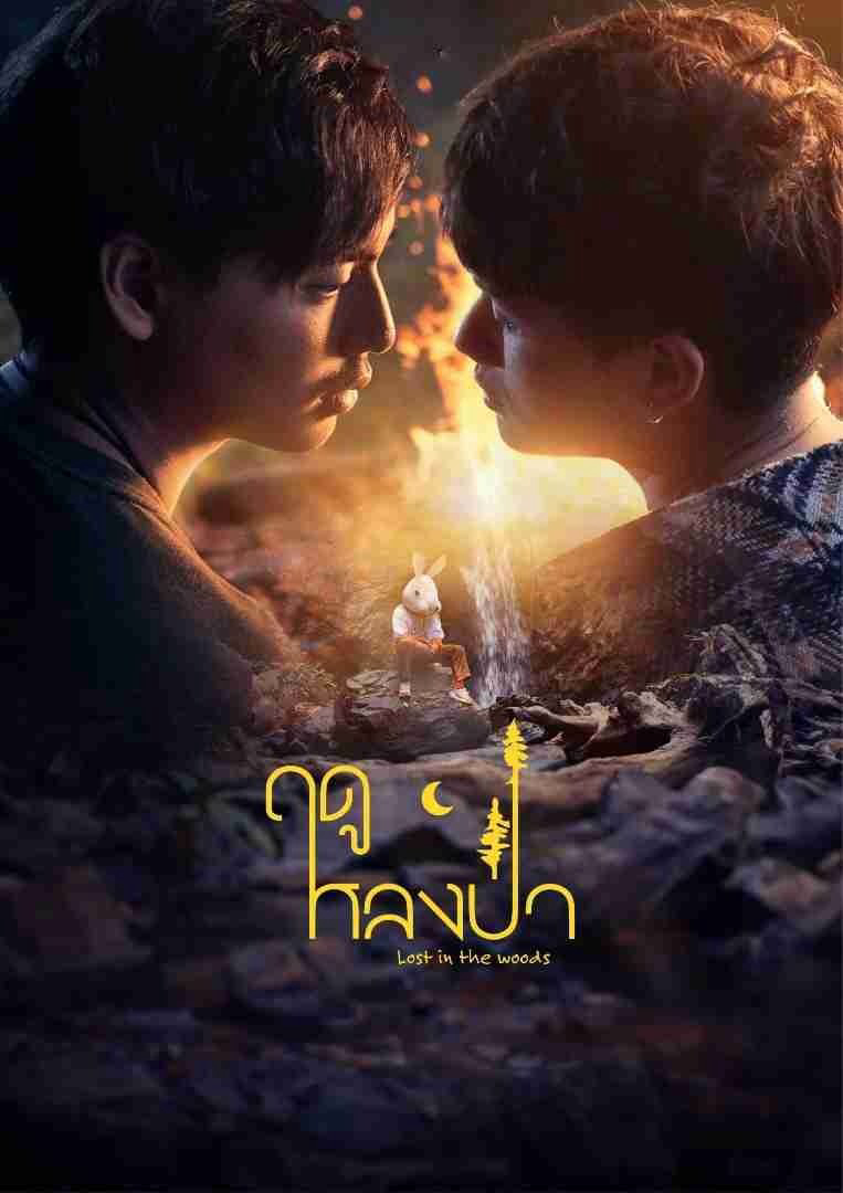 Xem phim Mùa Lạc Trong Rừng - RoPhim