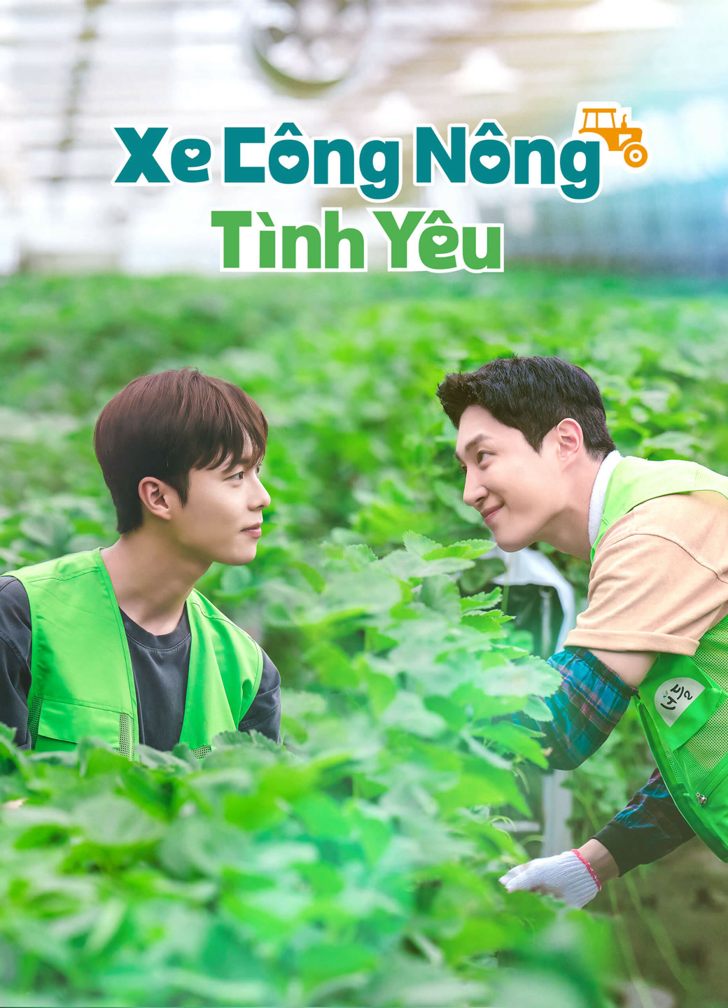 Xem phim Xe Công Nông Tình Yêu - RoPhim